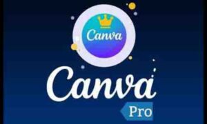 Canva Pro Owner Account
