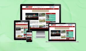 Newspaper Pro Theme