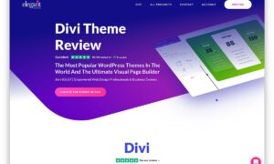 Divi Theme Lifetime