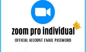 Zoom pro (300 participate)