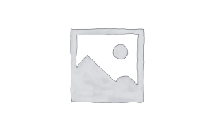 Ecommerch Themes